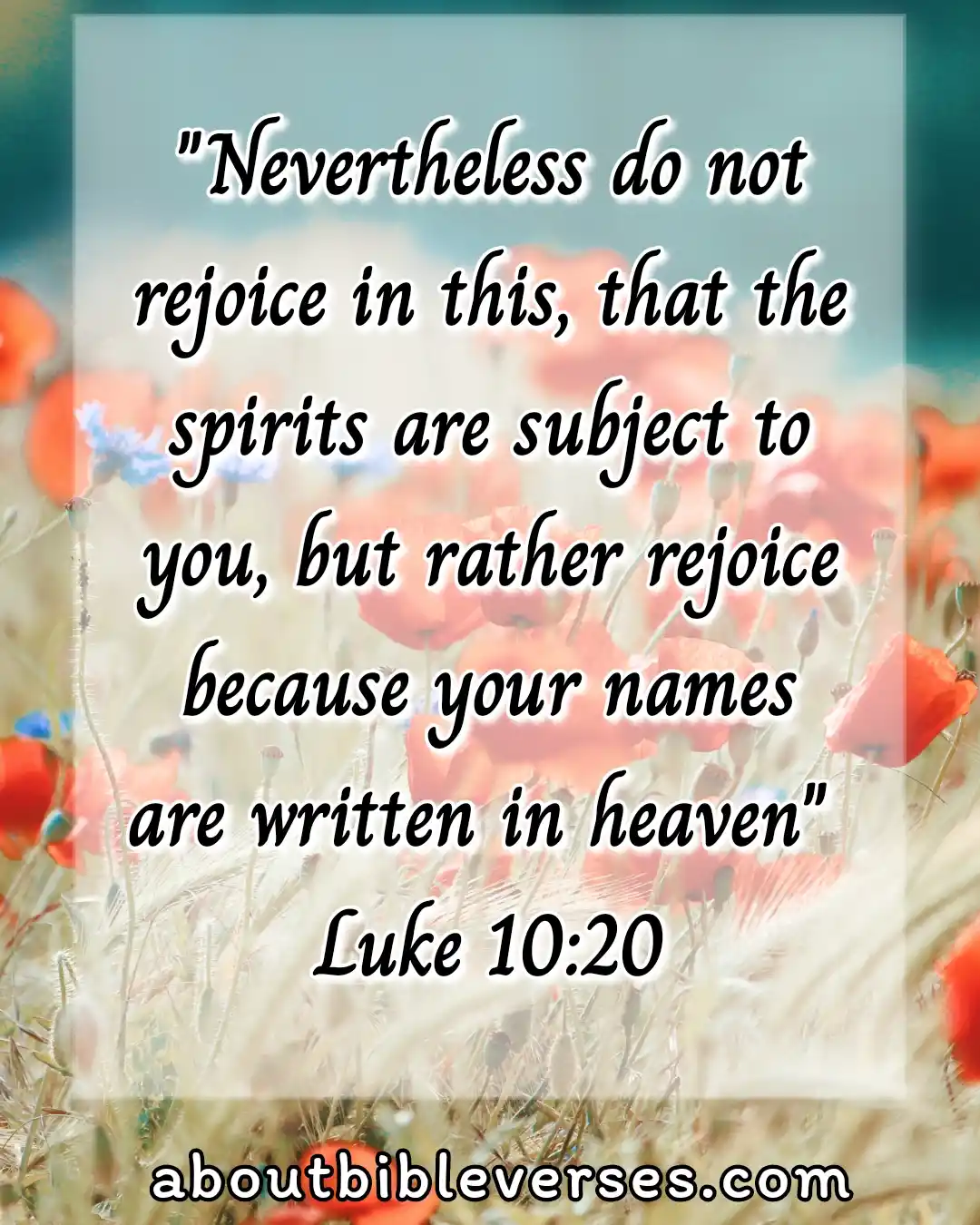 Bible Verses About Heaven (Luke 10:20)