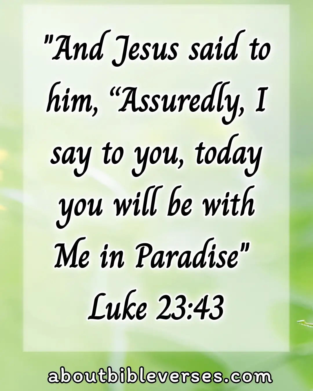 Bible Verses About Heaven (Luke 23:43)