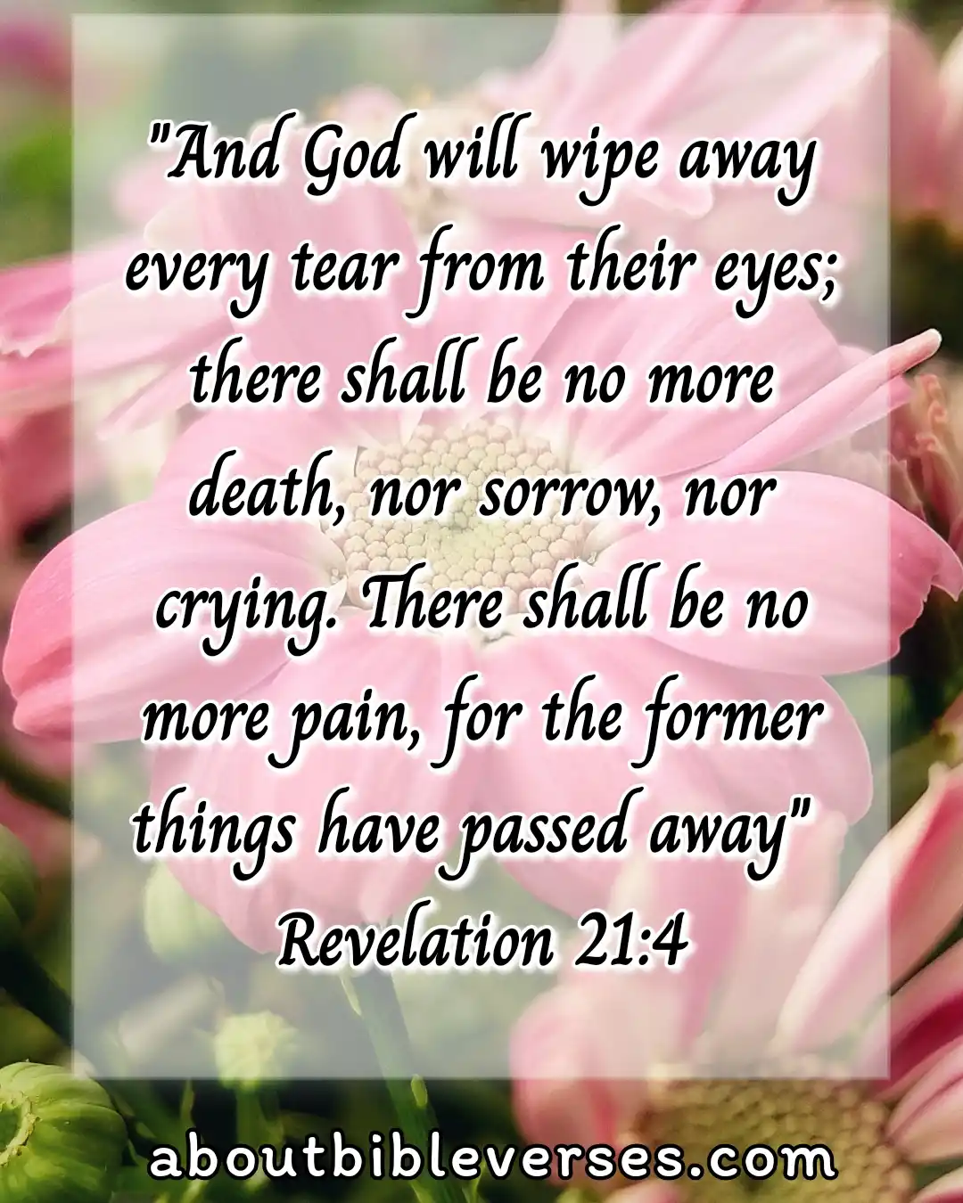 Bible Verses About Mourning The Loss Of A Loved One (Revelation 21:4)