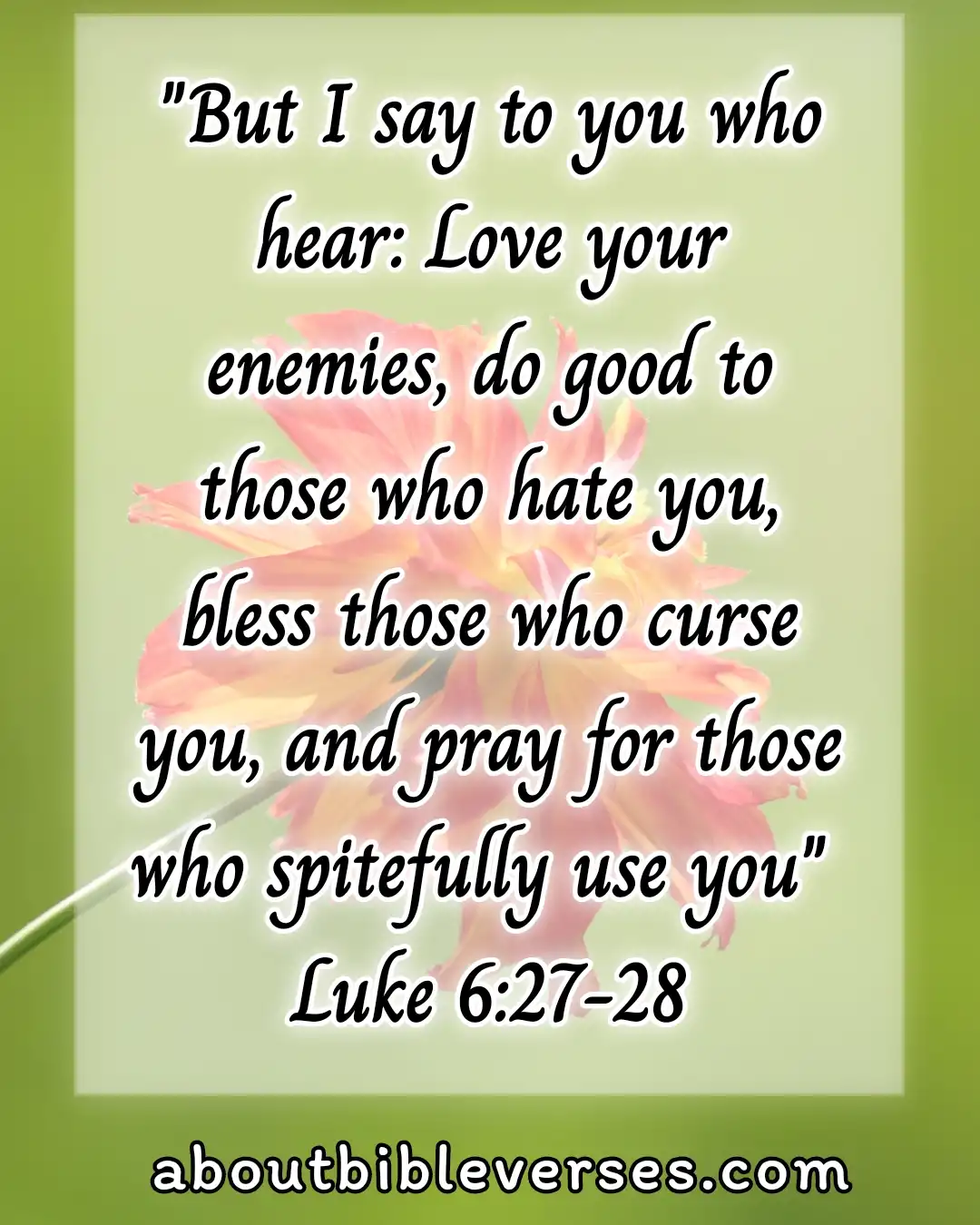Happy Morning Tuesday Blessings Bible Verse (Luke 6:27-28)