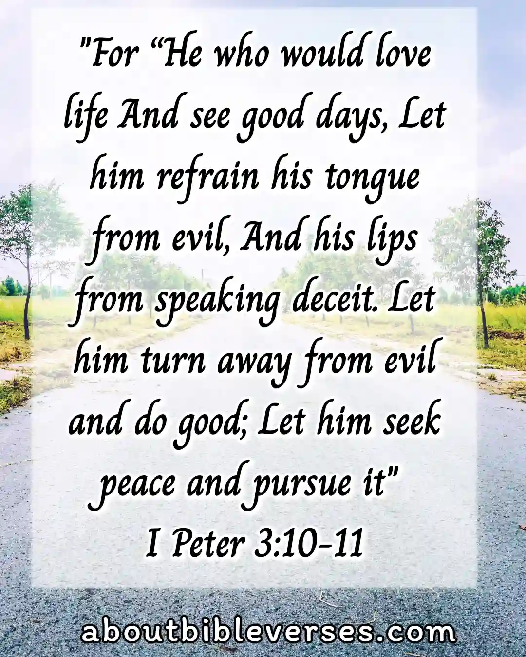 bible verses about peace (1 Peter 3:10-11)