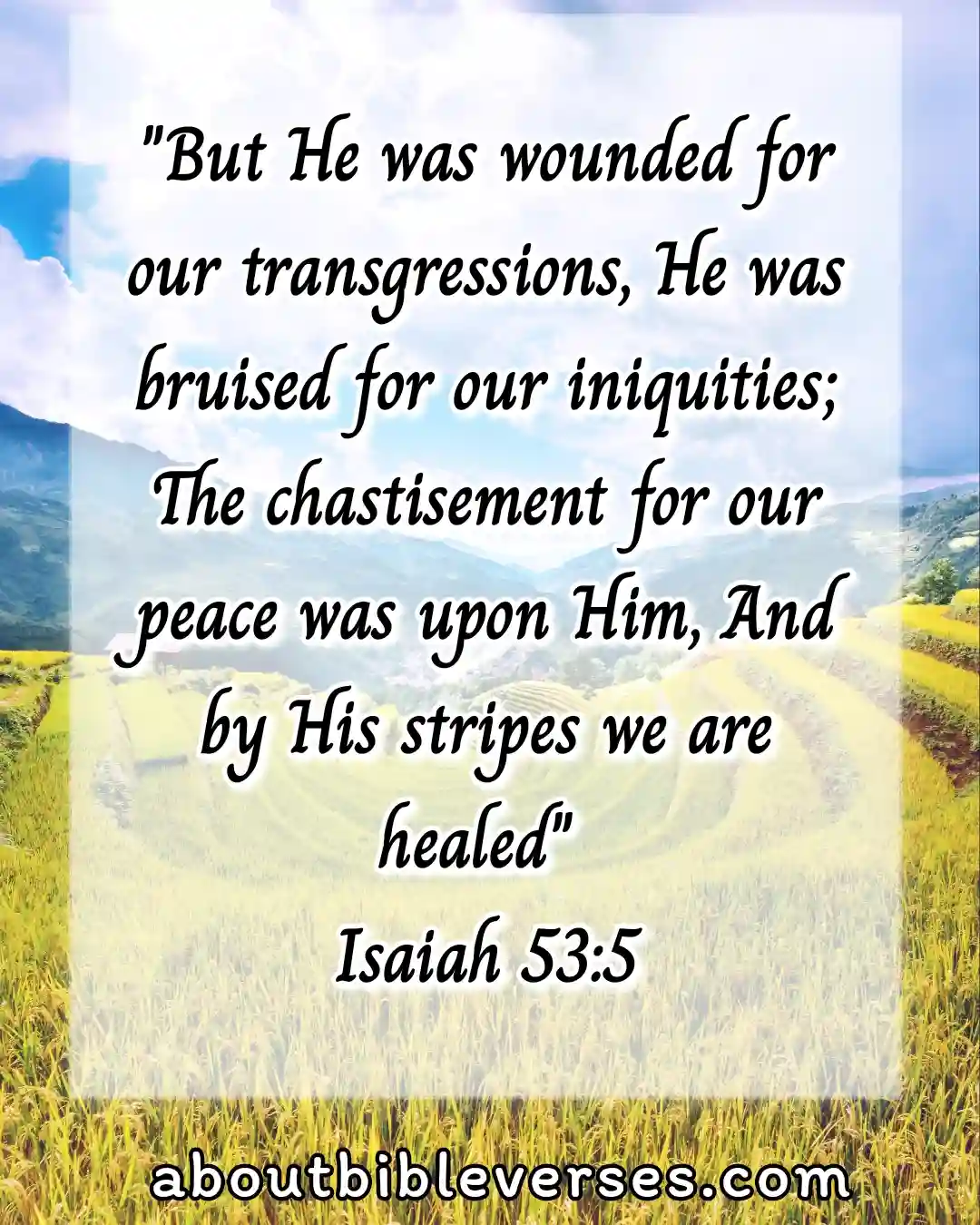 bible verses about peace (Isaiah 53:5)