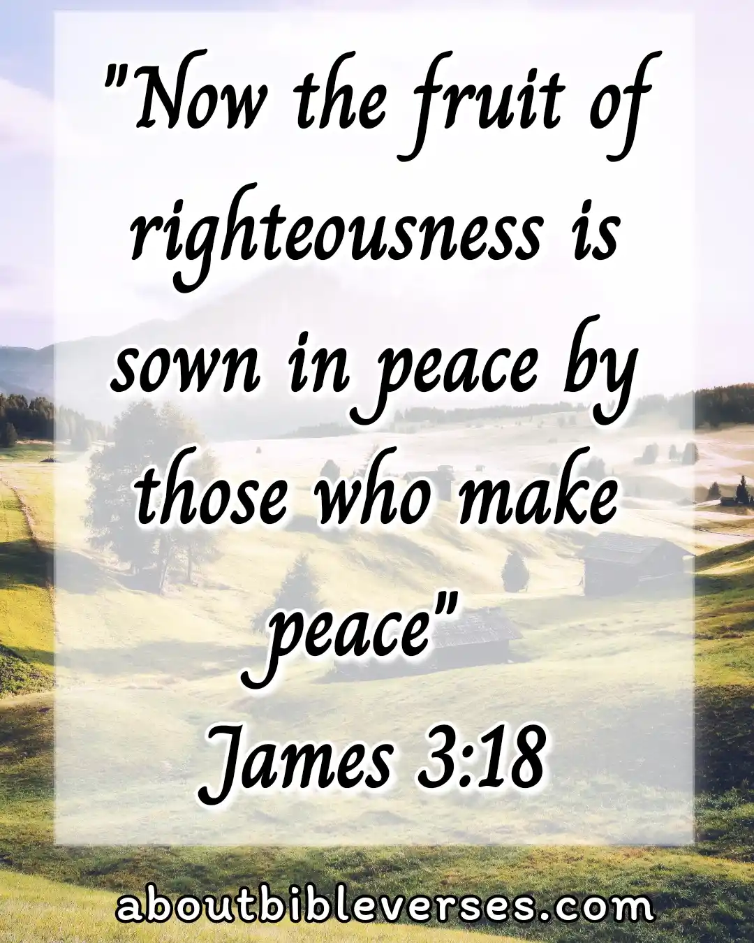 bible verses about peace (James 3:18)