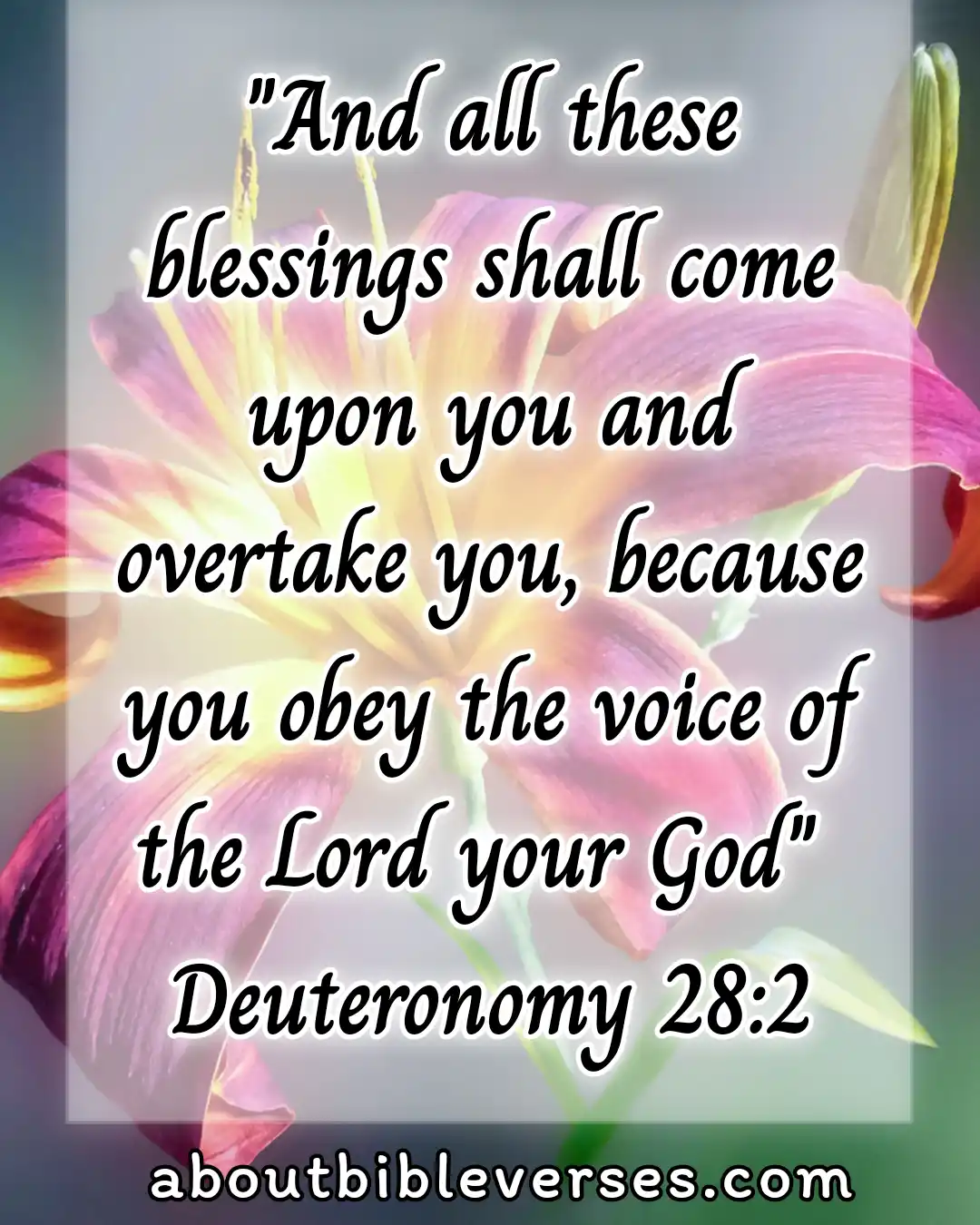 bible verses blessings from God (Deuteronomy 28:2)