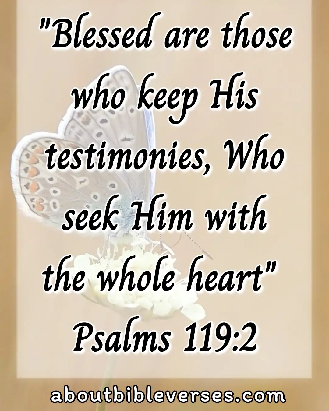 Bible Verses about Seeking God (Psalm 119:2)