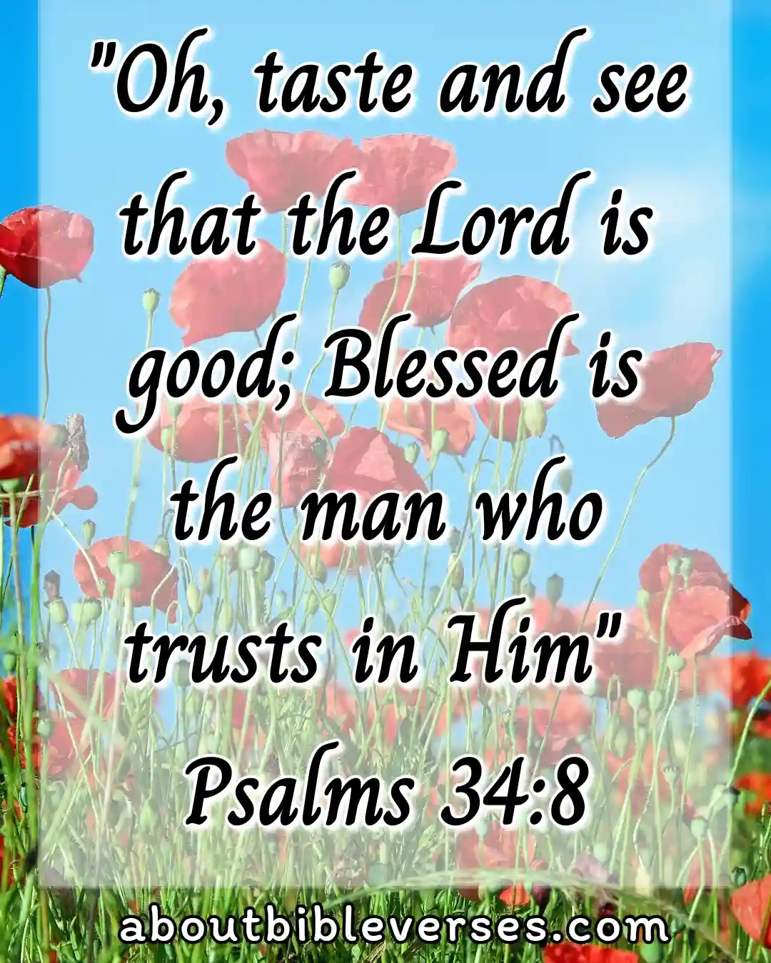 Holy Thursday Morning Bible Verses (Psalm 34:8)