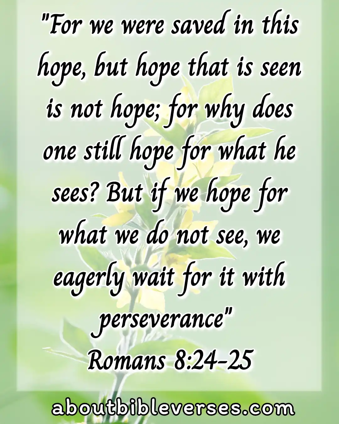 hope bible verses (Romans 8:24-25)