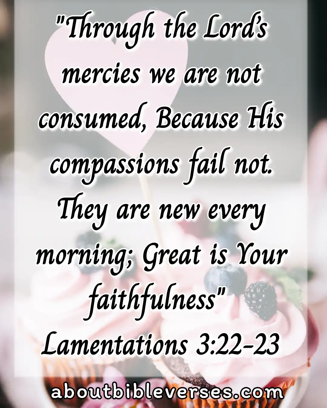 Bible Verses On Gods Comfort And Compassion (Lamentations 3:22-23)