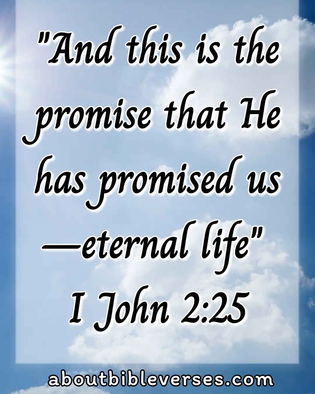 bible verses about for eternal life (1 John 2:25)