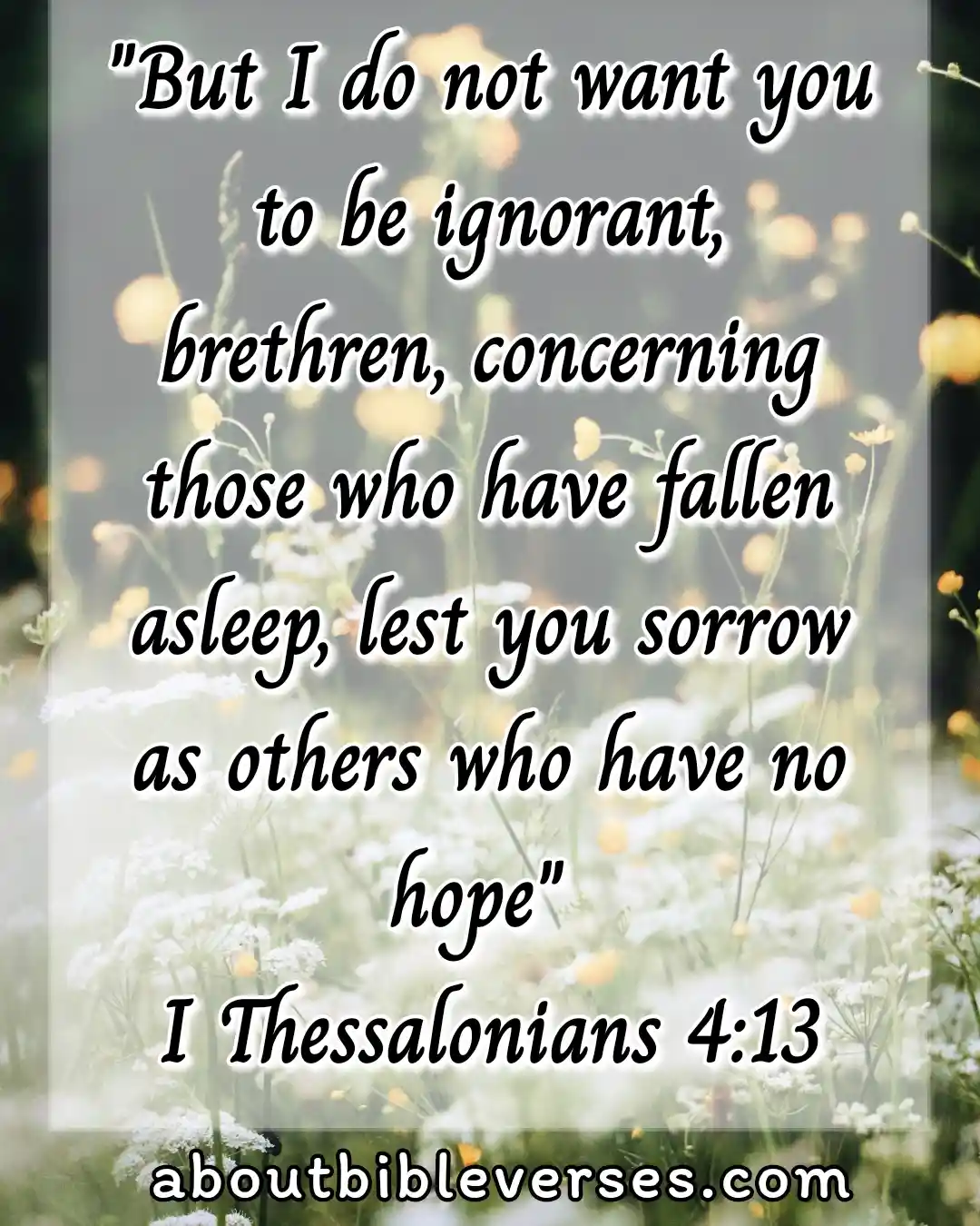 hope bible verses (1 Thessalonians 4:13)