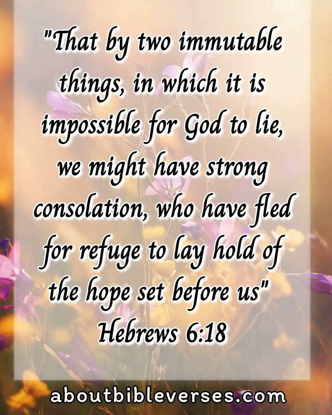 hope bible verses (Hebrews 6:18)