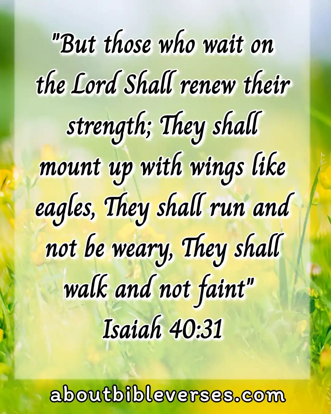 Bible Verses For Strength And Courage In Difficult Times (Isaiah 40:31)