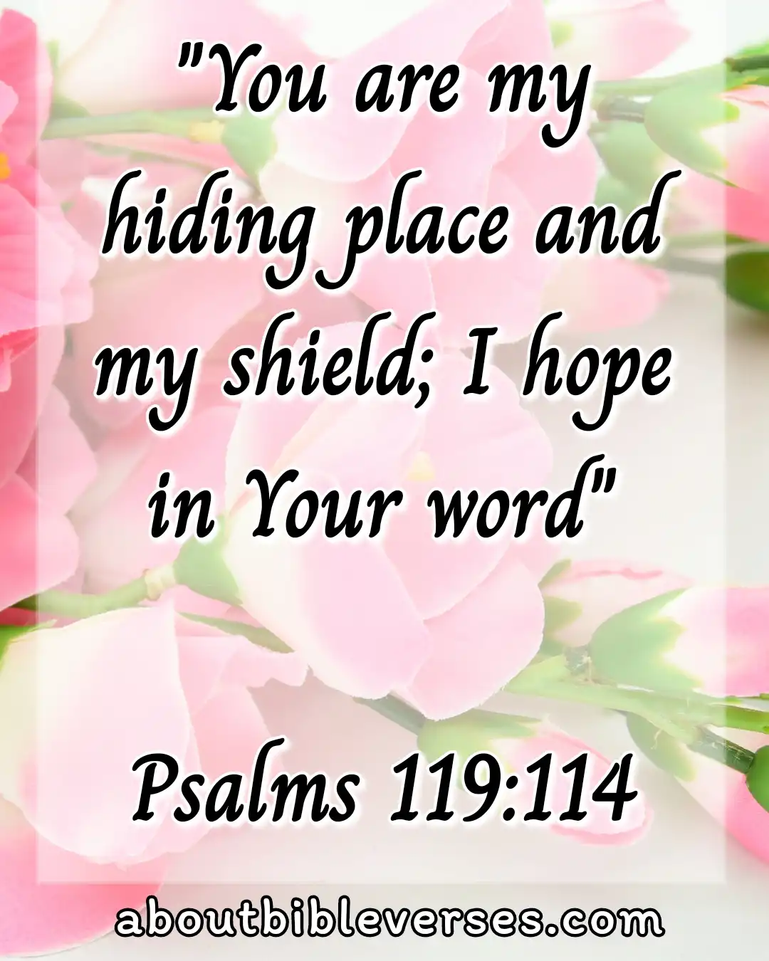 hope bible verses (Psalm 119:114)