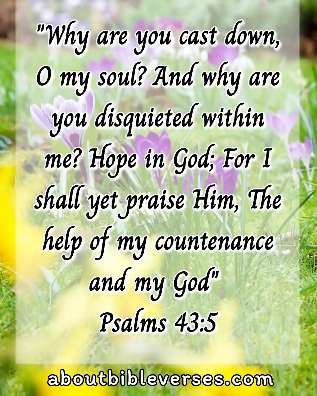 hope bible verses (Psalm 43:5)