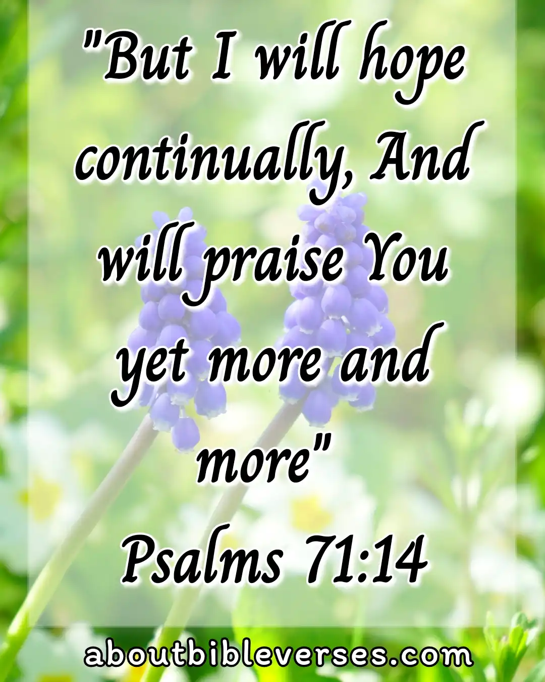hope bible verses (Psalm 71:14)