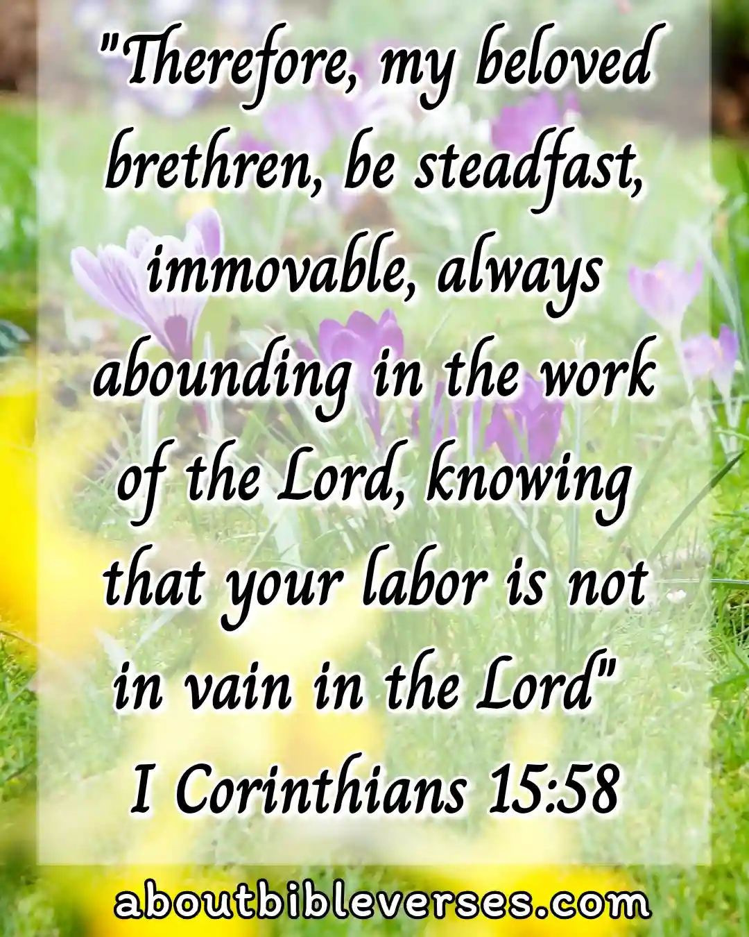 Bible Verse About Working (1 Corinthians 15:58)