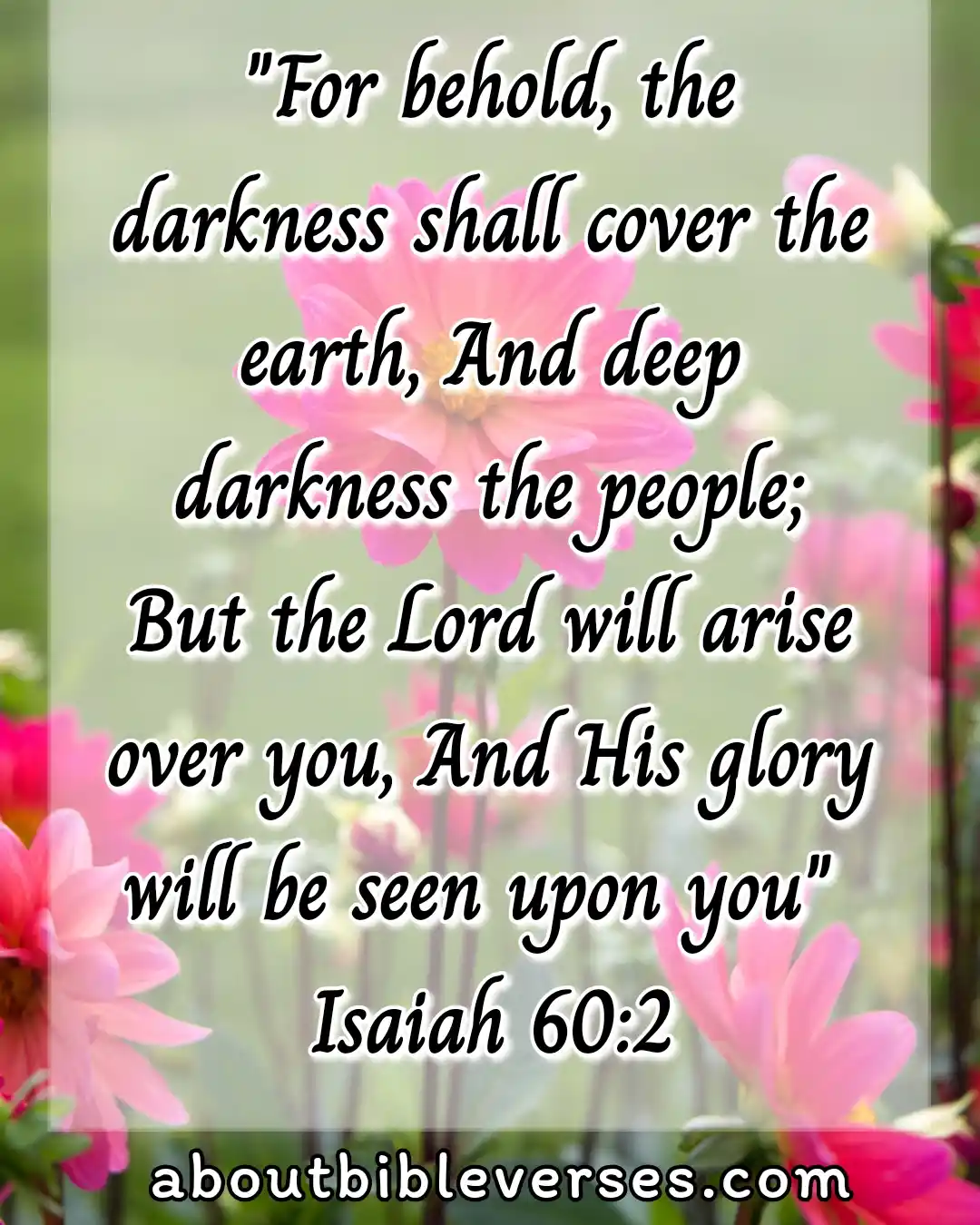 motivational Bible Quotes (Isaiah 60:2)