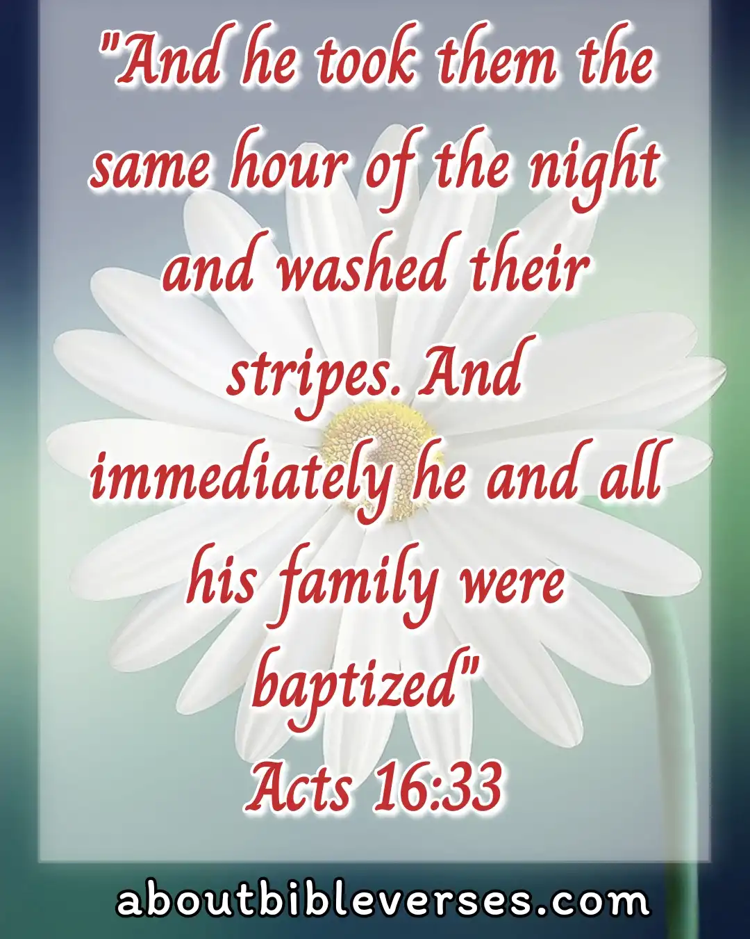 Baptism Bible Verses (Acts 16:33)