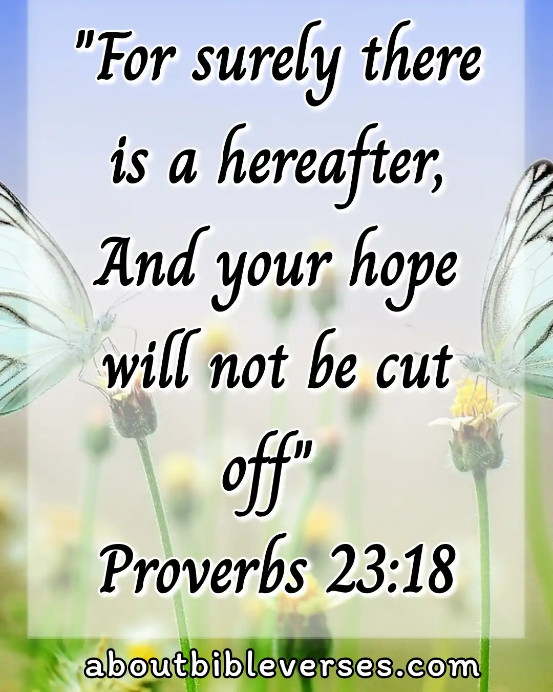 Bible verse about hope for the future (Proverbs 23:18)