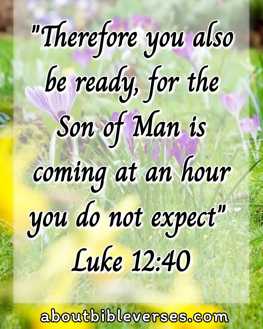 jesus return (Luke 12:40)