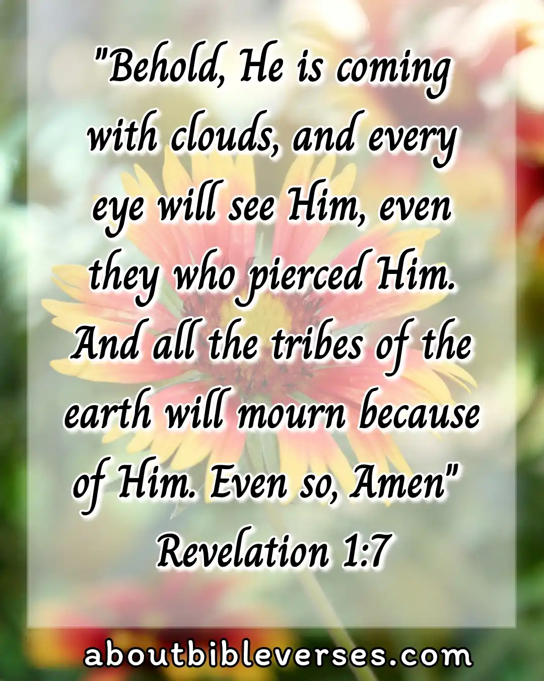 jesus return (Revelation 1:7)