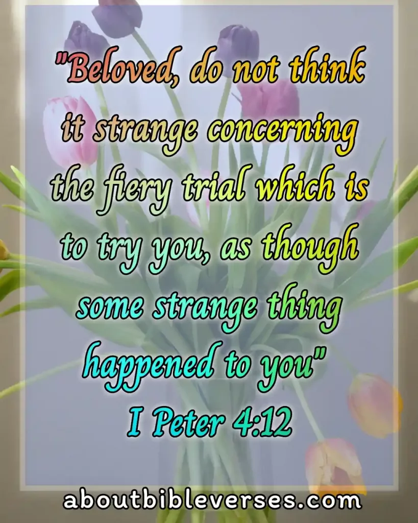 temptation bible verses (1 Peter 4:12)