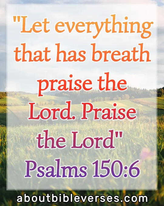 Praise And Worship Bible Verses (Psalm 150:6)