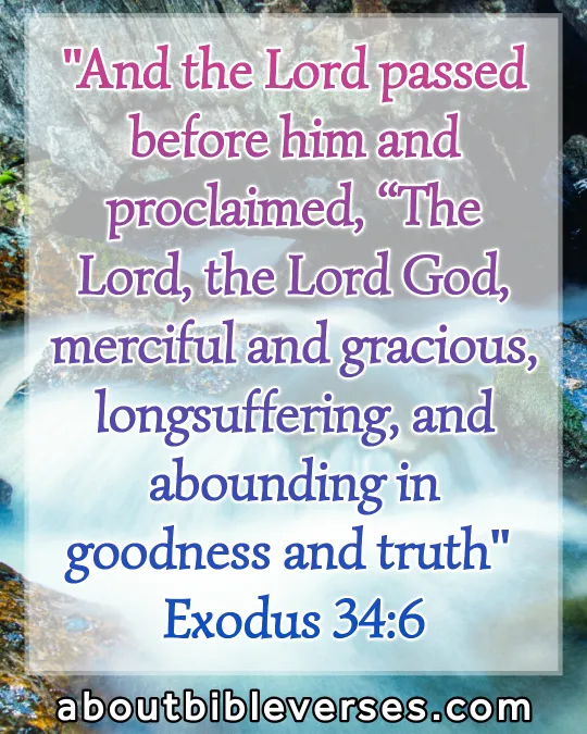 bible verses God's Goodness (Exodus 34:6)