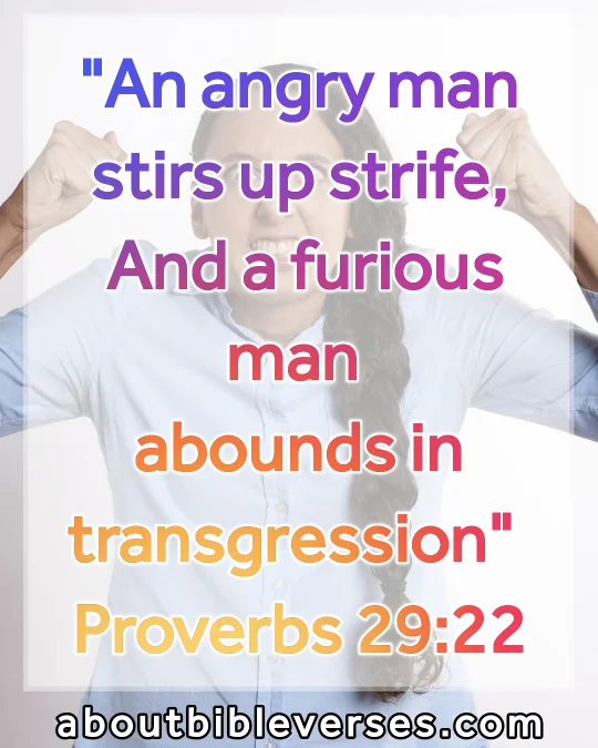 bible verses about anger (Proverbs 29:22)