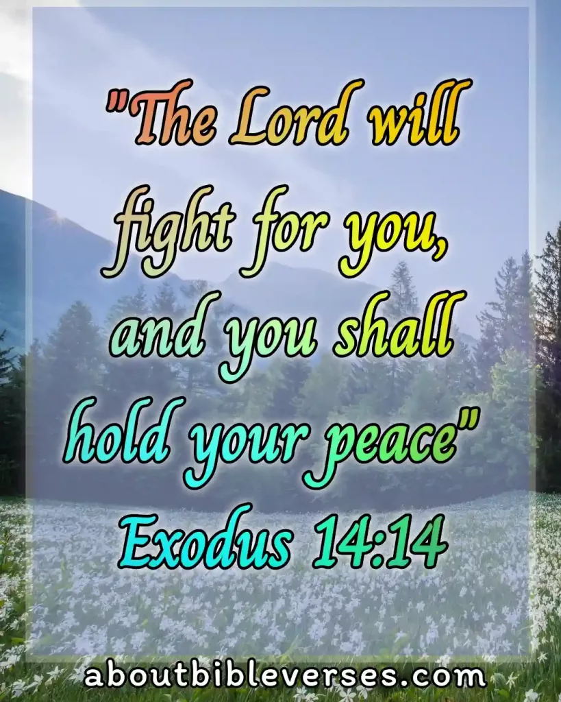 bible verses God will fight for you (Exodus 14:14)
