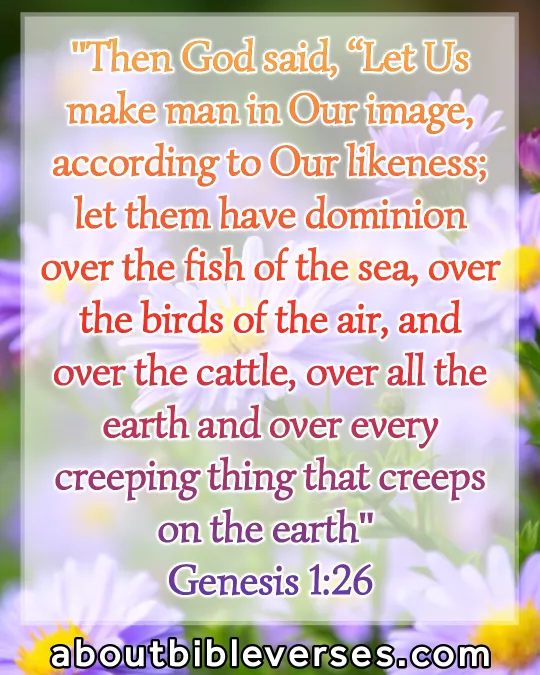 Bible Verses About God's Beautiful Creation (Genesis 1:26)