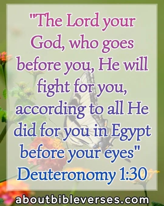 bible verses God will fight for you (Deuteronomy 1:30)