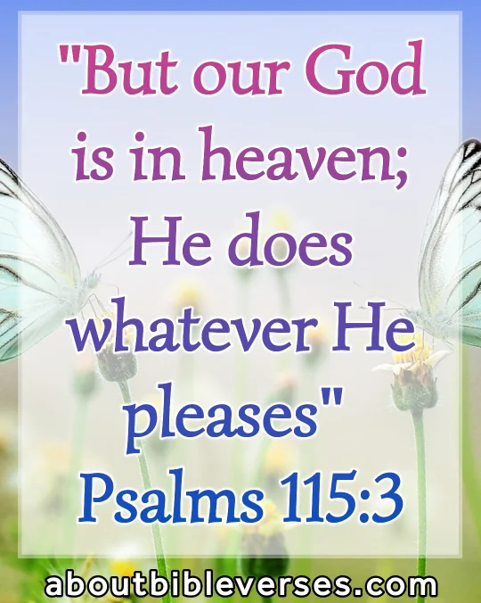 Today bible verse (Psalm 115:3)