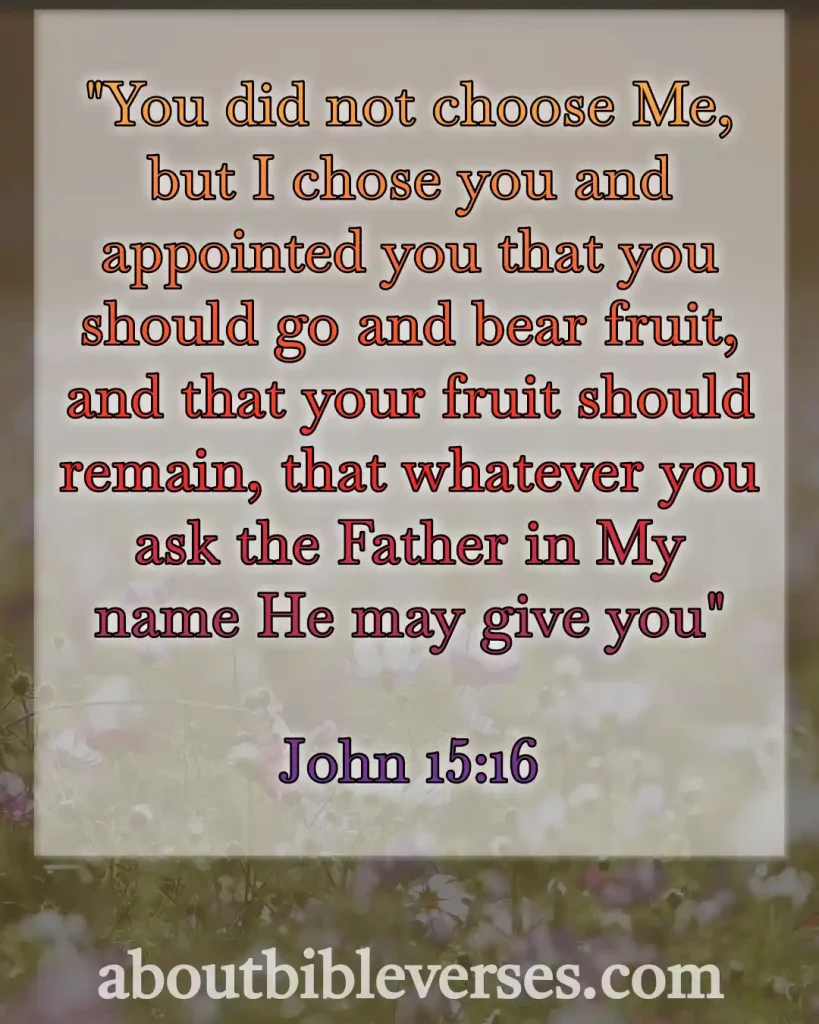 Today bible verse (John 15:16)