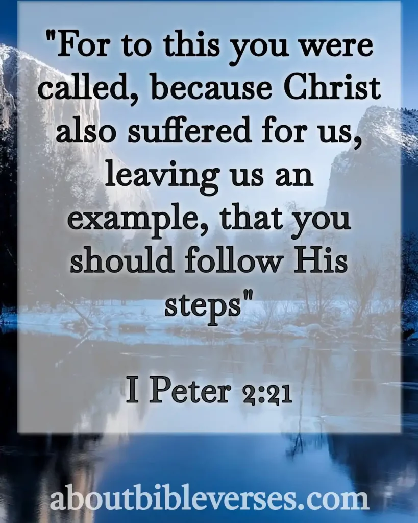 Bible Verses About Pain And Suffering (1 Peter 2:21)