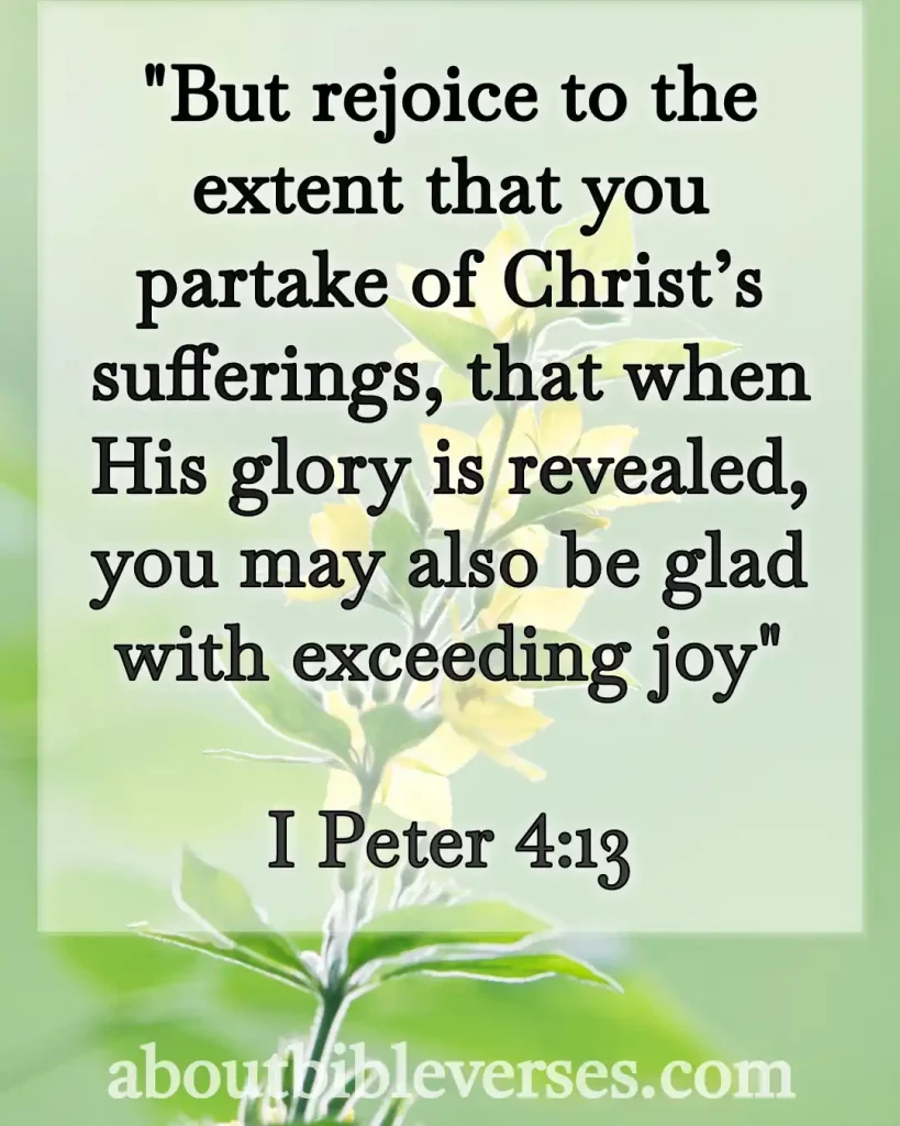 Bible Verses About Every Pain Has A Purpose (1 Peter 4:13)