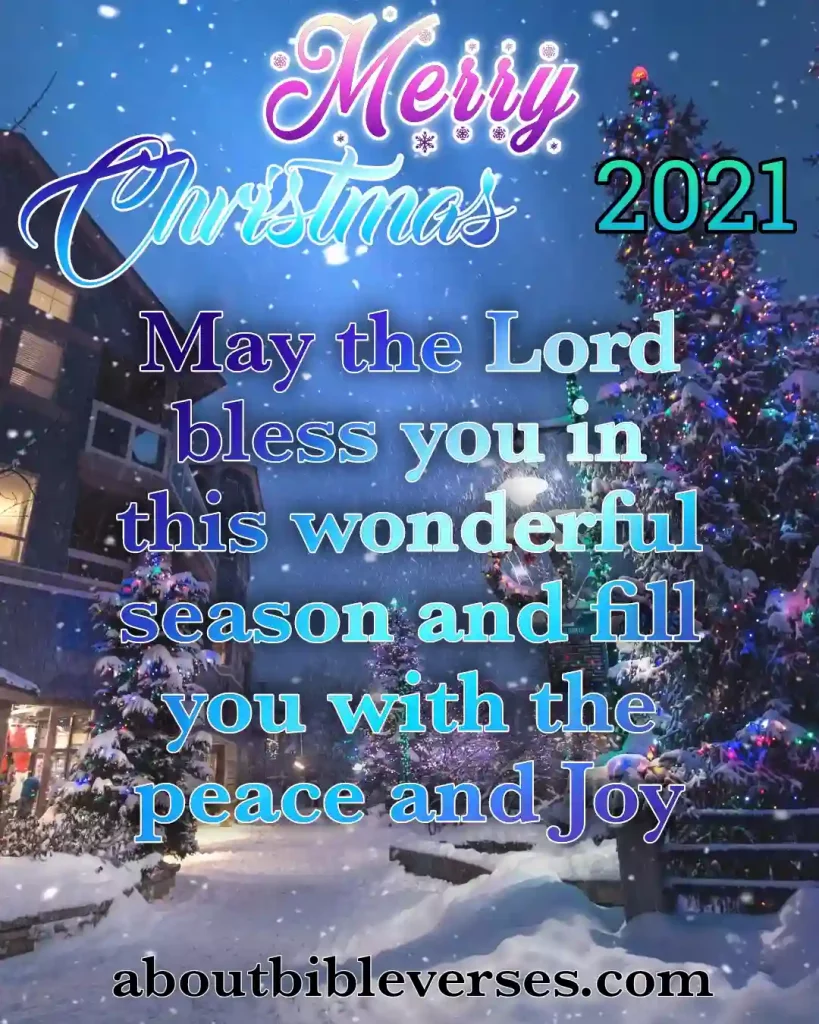 Merry Christmas Quotes (4)