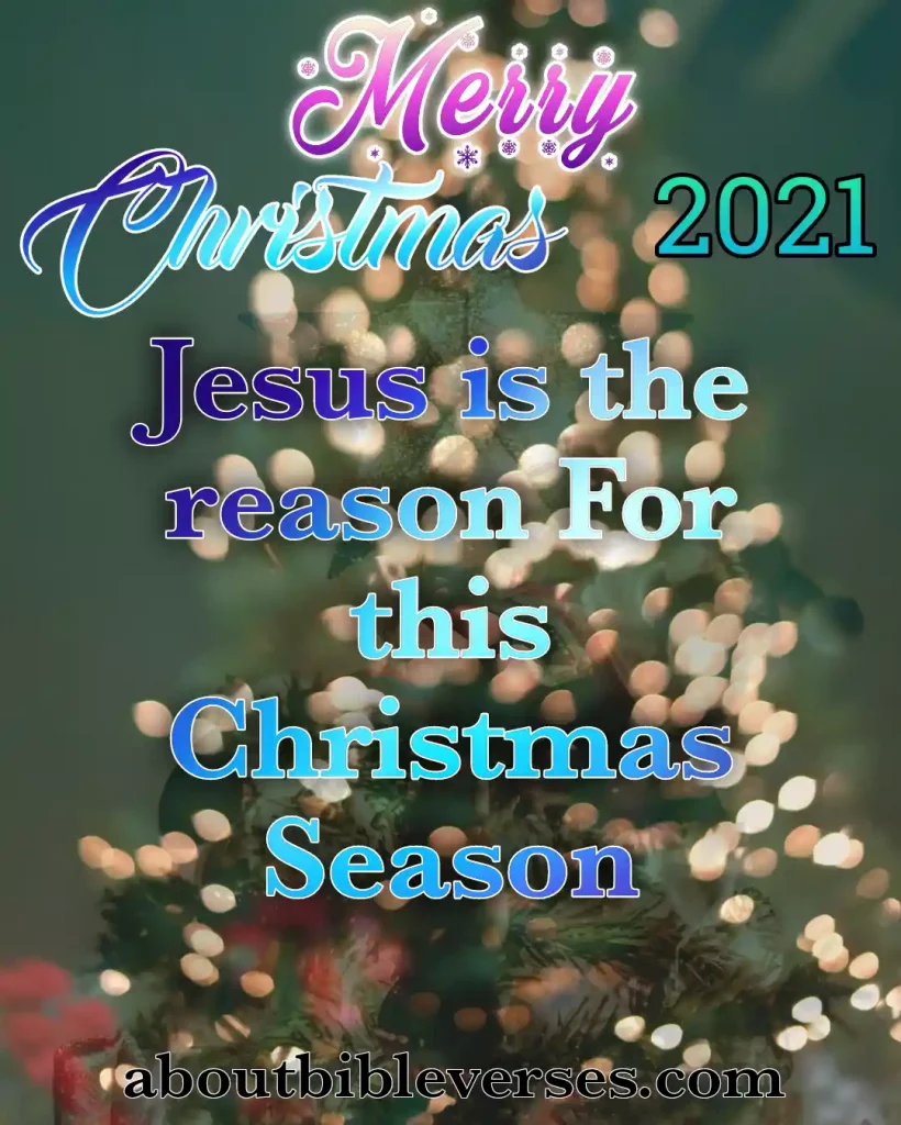 Merry Christmas Quotes (5)