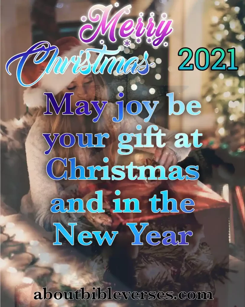 Merry Christmas Quotes (6)