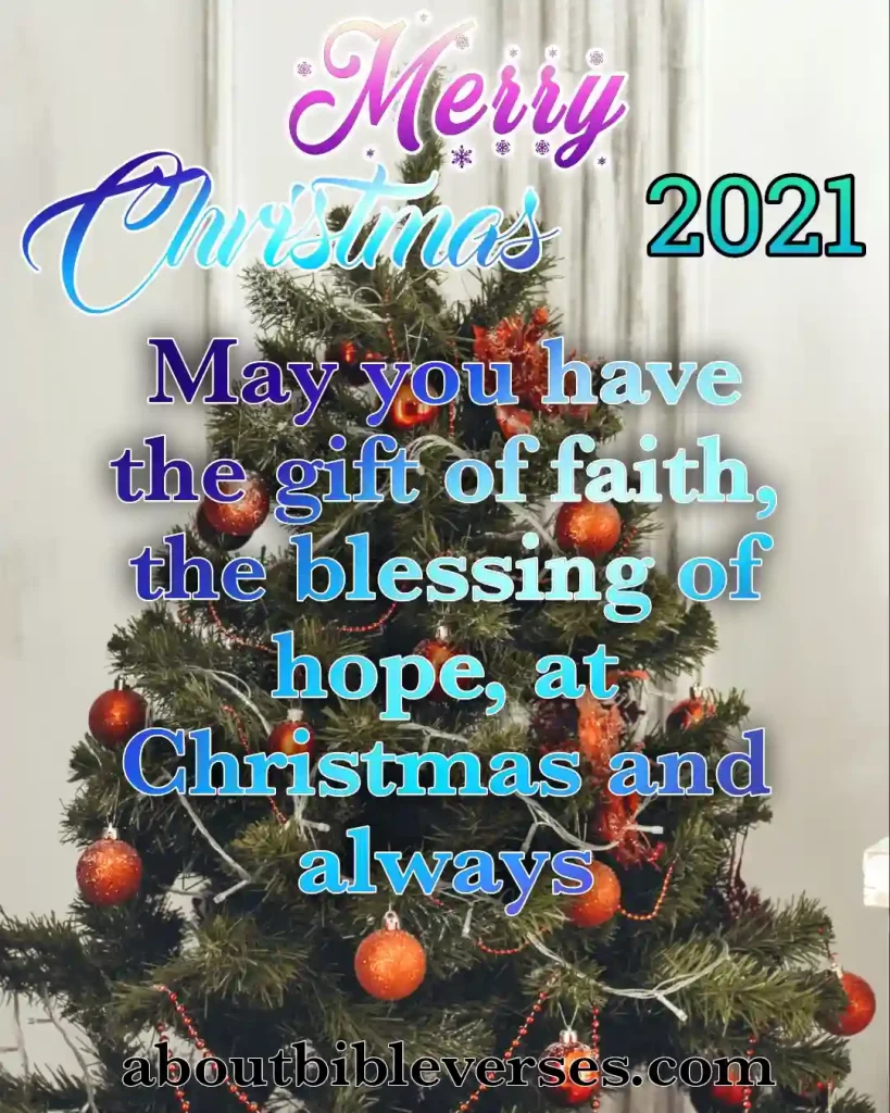 Merry Christmas Quotes (7)