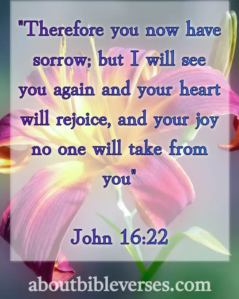 Bible Verses About Pain And Hurt (John 16:22)