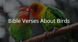 Bible Verses About Birds