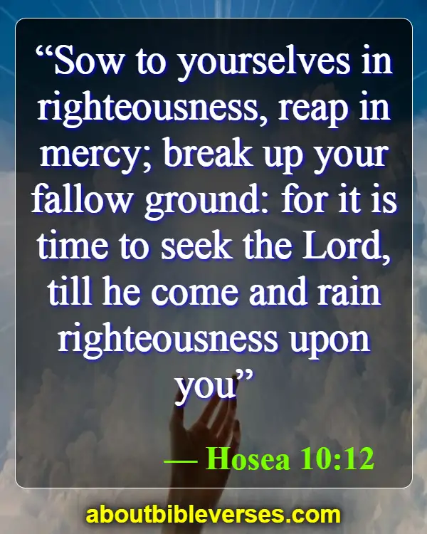 Bible Verses For Pursue Righteousness (Hosea 10:12)