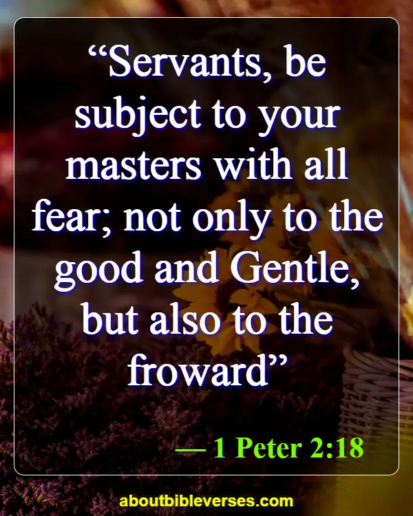 today bible verse (1 Peter 2:18)