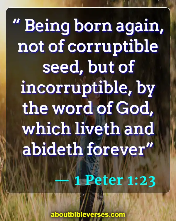 Bible Verses About Rebirth (1 Peter 1:23)