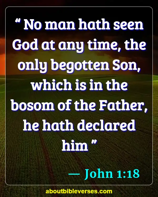 Bible Verses About The Trinity (John 1:18)