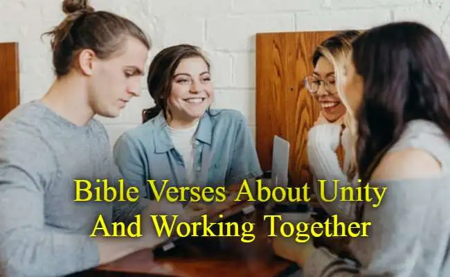 Bible Verses About Unity And Working Together