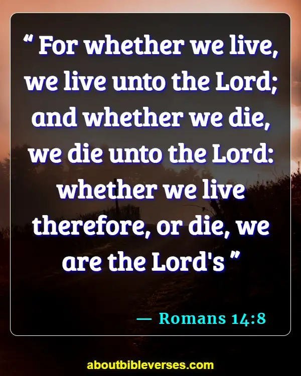 Bible Verses Self Bio Quotes (Romans 14:8)