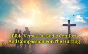 Bible Verses On Gods Comfort And Compassion For The Hurting