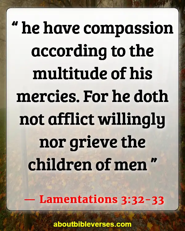 Bible Verses On Gods Comfort And Compassion (Lamentations 3:32-33)